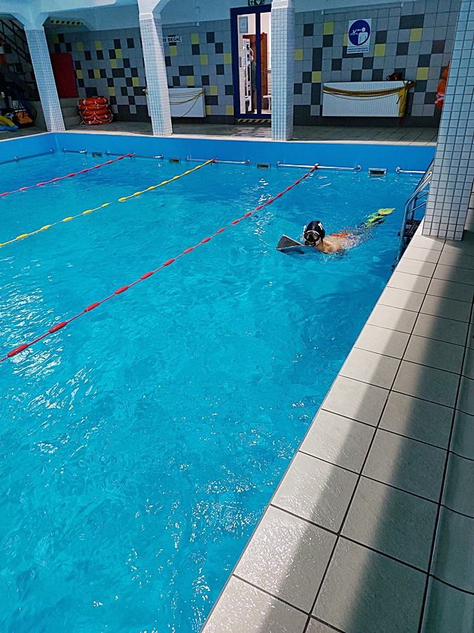 Hokej pod wodą Walenie Siemianowice Śląskie Trening 16 XII 2023